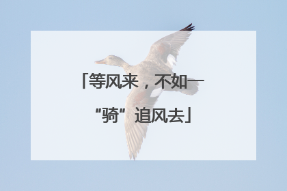等风来，不如一“骑”追风去