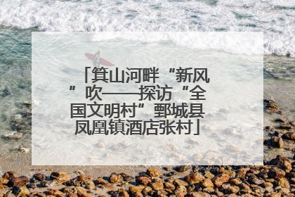 箕山河畔“新风”吹——探访“全国文明村”鄄城县凤凰镇酒店张村