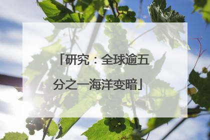 研究：全球逾五分之一海洋变暗