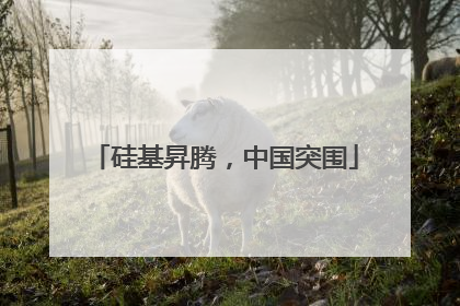 硅基昇腾，中国突围