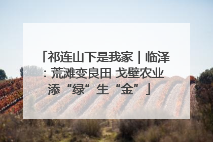 祁连山下是我家｜临泽：荒滩变良田 戈壁农业添“绿”生“金”