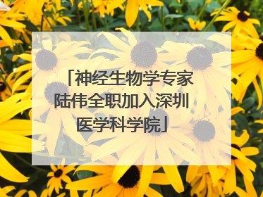 神经生物学专家陆伟全职加入深圳医学科学院