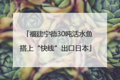 福建宁德30吨活水鱼搭上“快线”出口日本