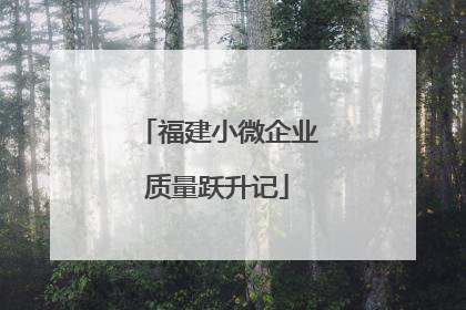 福建小微企业质量跃升记