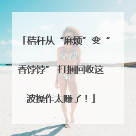 秸秆从“麻烦”变“香饽饽” 打捆回收这波操作太赚了！