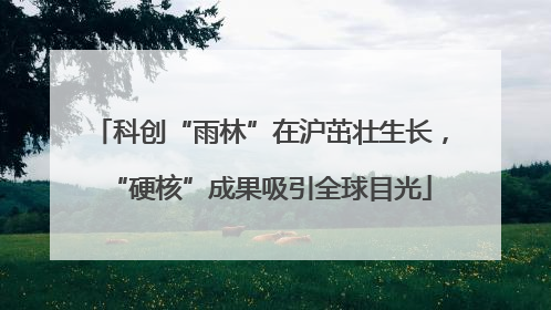 科创“雨林”在沪茁壮生长，“硬核”成果吸引全球目光