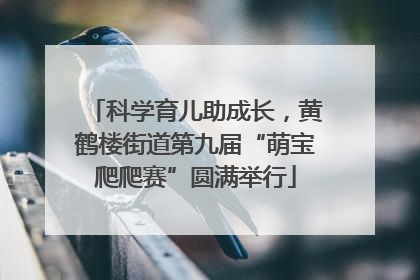 科学育儿助成长，黄鹤楼街道第九届“萌宝爬爬赛”圆满举行