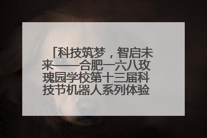 科技筑梦，智启未来——合肥一六八玫瑰园学校第十三届科技节机器人系列体验赛燃动校园