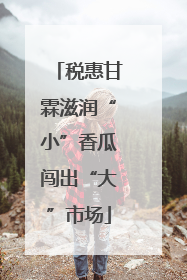 税惠甘霖滋润“小”香瓜闯出“大”市场