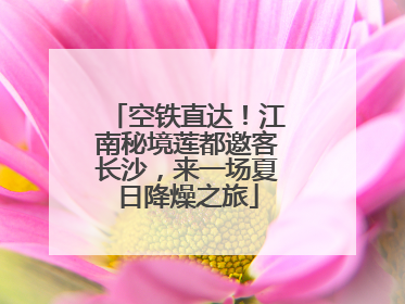 空铁直达！江南秘境莲都邀客长沙，来一场夏日降燥之旅