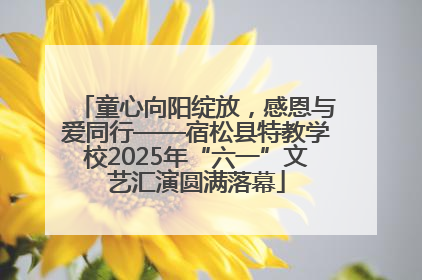 童心向阳绽放，感恩与爱同行——宿松县特教学校2025年“六一”文艺汇演圆满落幕