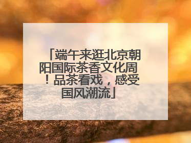 端午来逛北京朝阳国际茶香文化周！品茶看戏，感受国风潮流