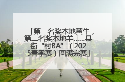 第一名奖本地黄牛，第二名奖本地羊……县街“村BA”（2025春季赛）圆满完赛