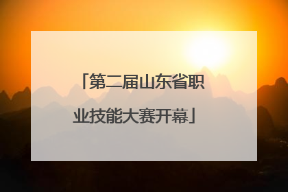 第二届山东省职业技能大赛开幕