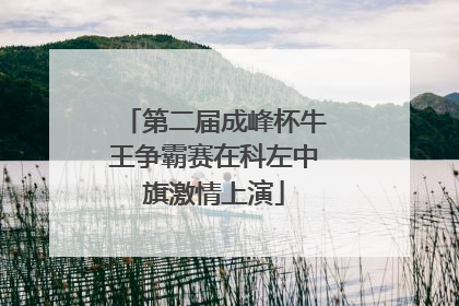 第二届成峰杯牛王争霸赛在科左中旗激情上演