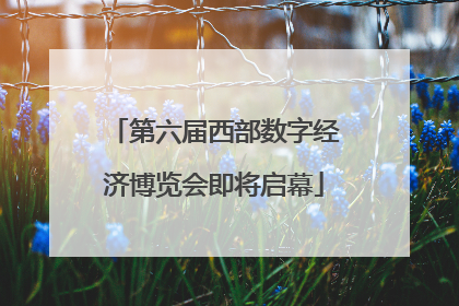 第六届西部数字经济博览会即将启幕