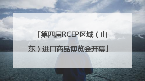 第四届RCEP区域（山东）进口商品博览会开幕