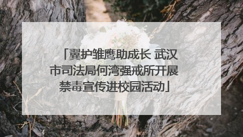翼护雏鹰助成长 武汉市司法局何湾强戒所开展禁毒宣传进校园活动