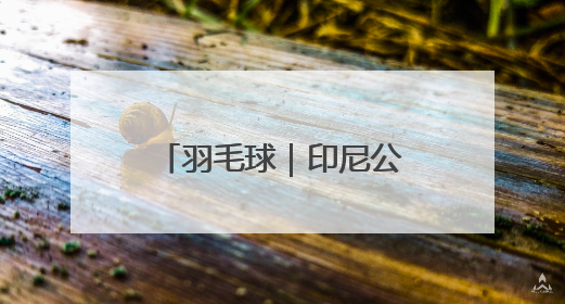 羽毛球｜印尼公开赛：程星/张驰晋级混双八强