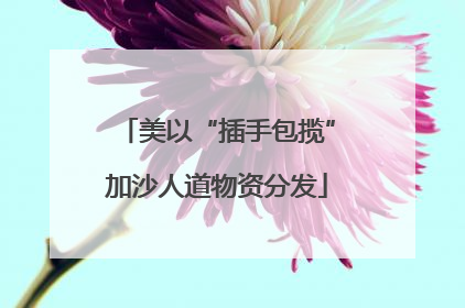 美以“插手包揽”加沙人道物资分发