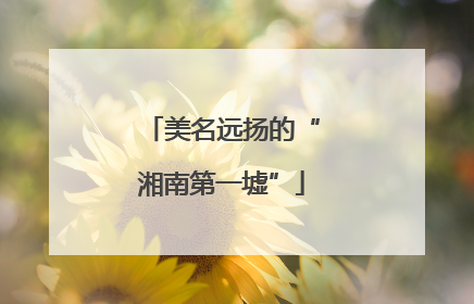 美名远扬的“湘南第一墟”
