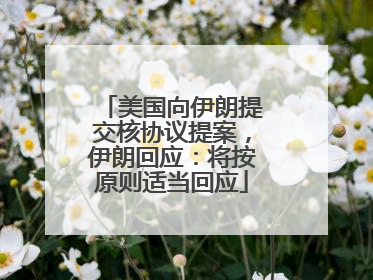 美国向伊朗提交核协议提案，伊朗回应：将按原则适当回应