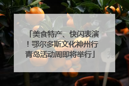 美食特产、快闪表演！鄂尔多斯文化神州行青岛活动周即将举行