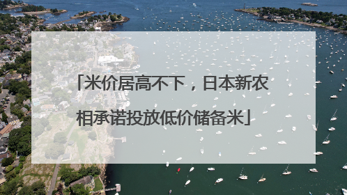米价居高不下，日本新农相承诺投放低价储备米