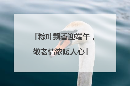 粽叶飘香迎端午，敬老情浓暖人心