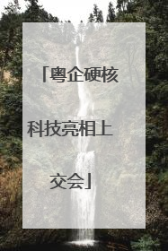 粤企硬核科技亮相上交会