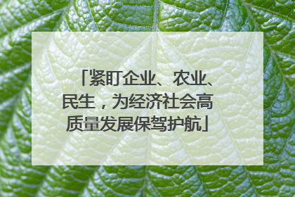 紧盯企业、农业、民生，为经济社会高质量发展保驾护航