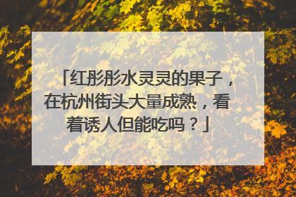红彤彤水灵灵的果子，在杭州街头大量成熟，看着诱人但能吃吗？