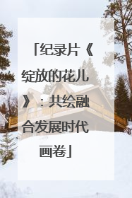 纪录片《绽放的花儿》：共绘融合发展时代画卷