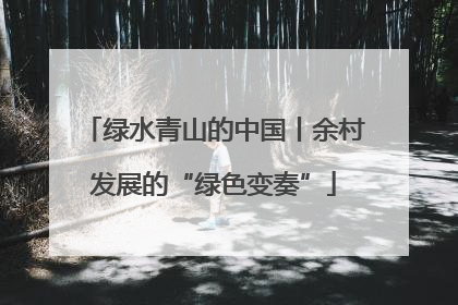 绿水青山的中国丨余村发展的“绿色变奏”