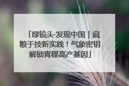 绿镜头·发现中国｜藏粮于技新实践！气象密钥解锁青稞高产基因