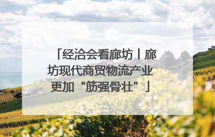 经洽会看廊坊丨廊坊现代商贸物流产业更加“筋强骨壮”