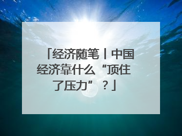 经济随笔丨中国经济靠什么“顶住了压力”？