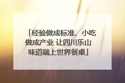 经验做成标准、小吃做成产业 让四川乐山味道端上世界餐桌