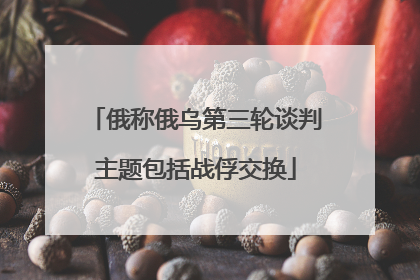 俄称俄乌第三轮谈判主题包括战俘交换