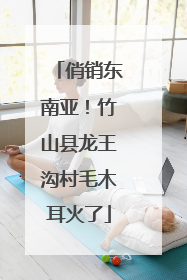 俏销东南亚！竹山县龙王沟村毛木耳火了