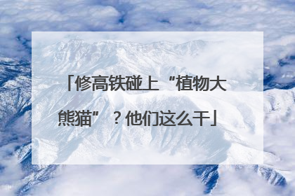 修高铁碰上“植物大熊猫”？他们这么干