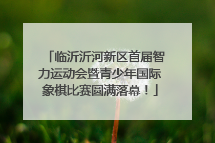 临沂沂河新区首届智力运动会暨青少年国际象棋比赛圆满落幕！