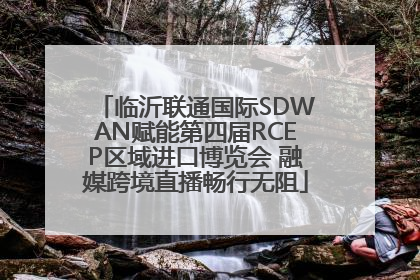 临沂联通国际SDWAN赋能第四届RCEP区域进口博览会 融媒跨境直播畅行无阻