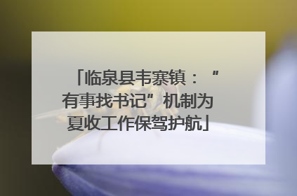 临泉县韦寨镇：“有事找书记”机制为夏收工作保驾护航
