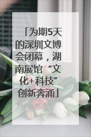 为期5天的深圳文博会闭幕，湖南展馆“文化+科技”创新奔涌