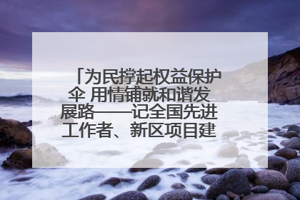 为民撑起权益保护伞 用情铺就和谐发展路——记全国先进工作者、新区项目建设中心干部卢小勇
