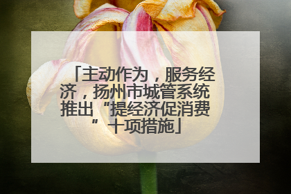 主动作为，服务经济，扬州市城管系统推出“提经济促消费”十项措施