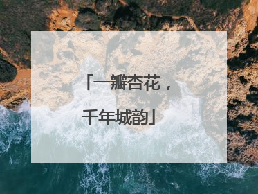 一瓣杏花，千年城韵