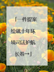 一件提案绘就十年环境司法护航长卷→