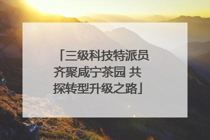 三级科技特派员齐聚咸宁茶园 共探转型升级之路